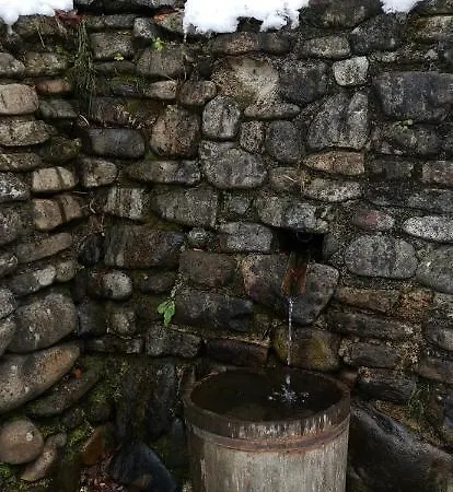 Apartment Apartma Regina *