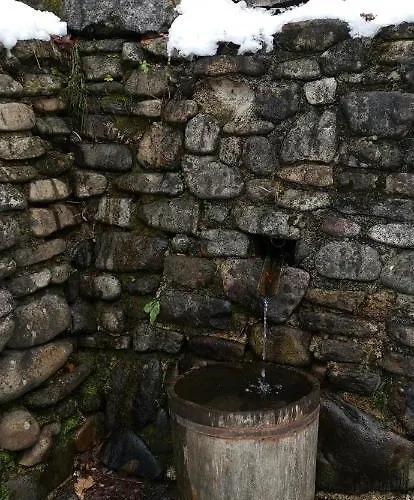 Appartamento Apartma Regina *